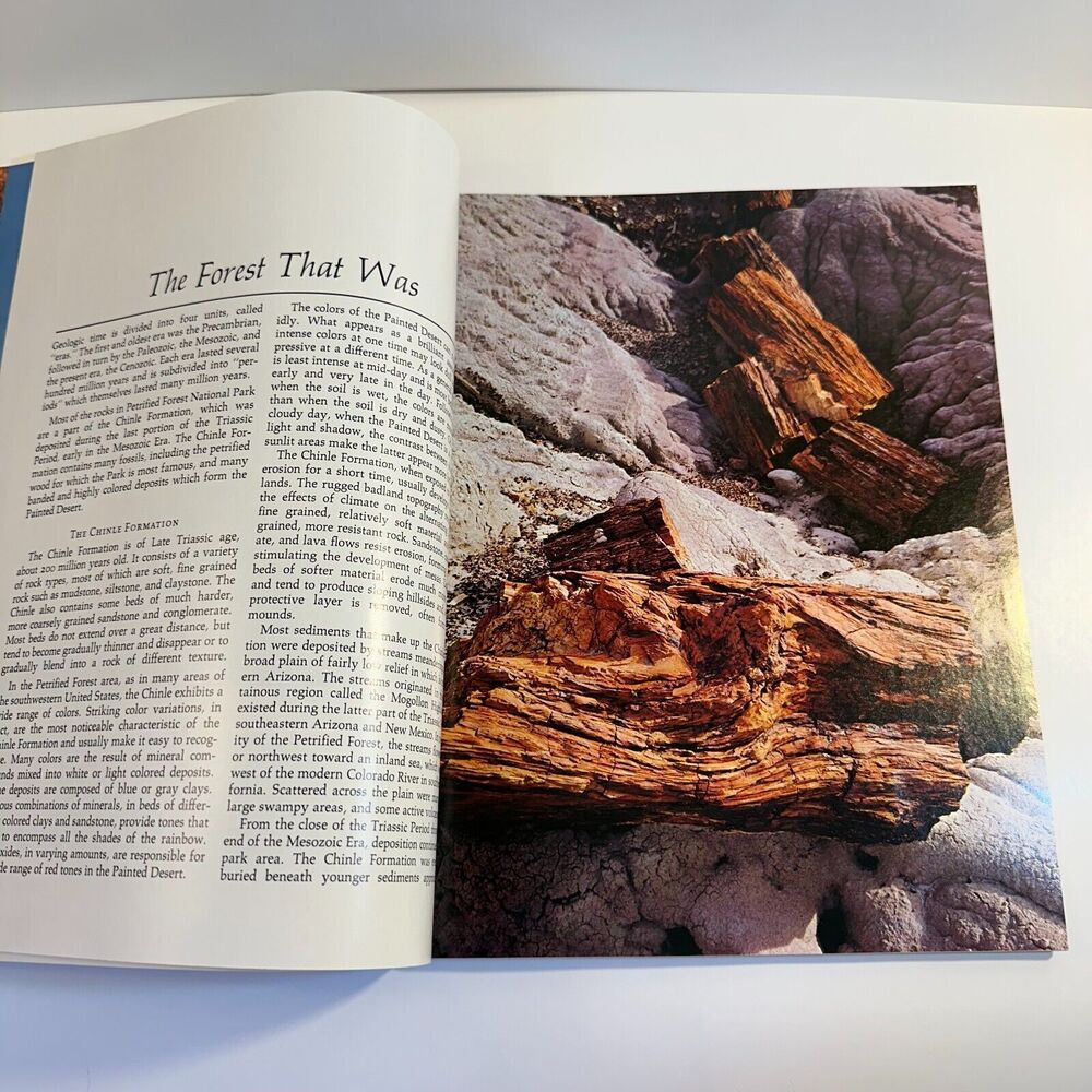Petrified Forest The Story Behind the Scenery Ash May 1969 Excellent Condition